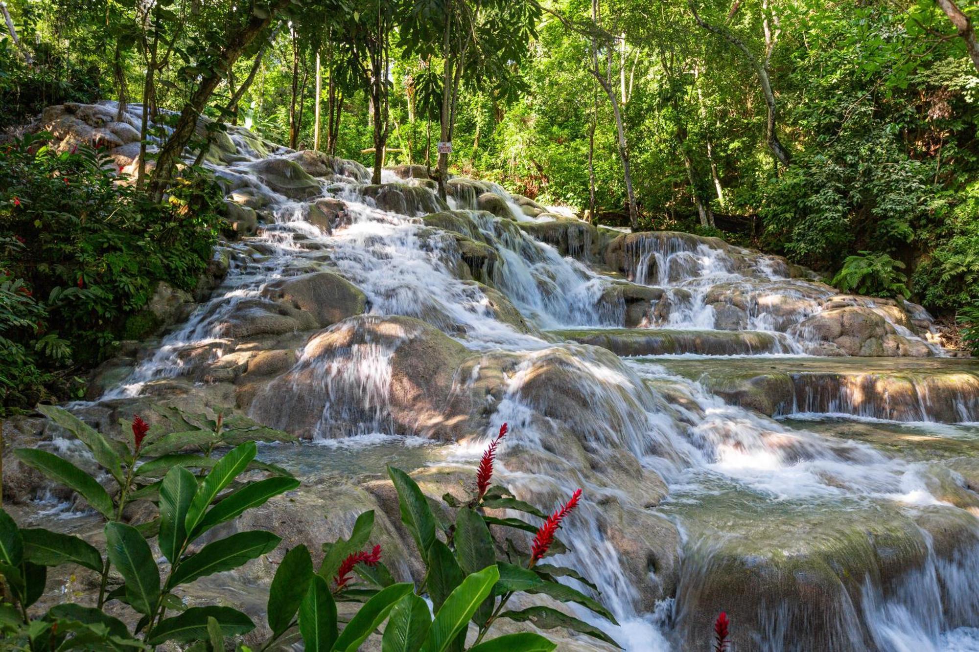 Sandals Dunns River All Inclusive Couples Only Ocho Rios Exterior photo